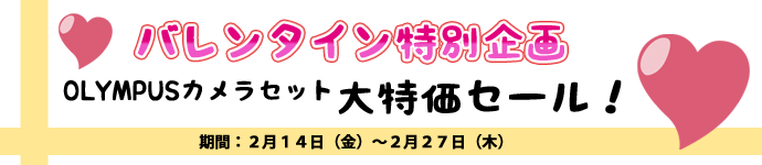 バレンタイン特別企画「OLYMPUSカメラセット大特価セール！」期間2月14日（金）～2月27日（木）