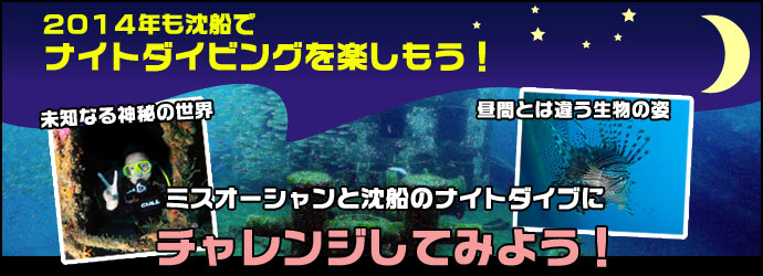 2014年も沈船でナイトダイビングを楽しもう！未知なる神秘の世界。昼間とは違う生物の姿。ミスオーシャンと沈船のナイトダイブにチャレンジしてみよう！