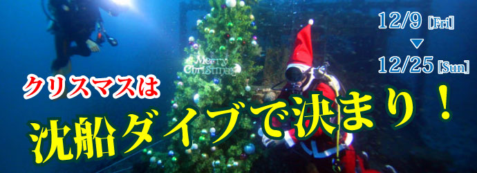 クリスマスは沈船ダイブで決まり