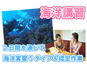 【海洋学習】2日間を通じて海洋実習5ダイブ＆認定作業