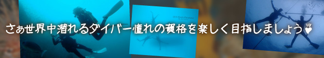 さぁ世界中潜れるダイバー憧れの資格を楽しく目指しましょう♪