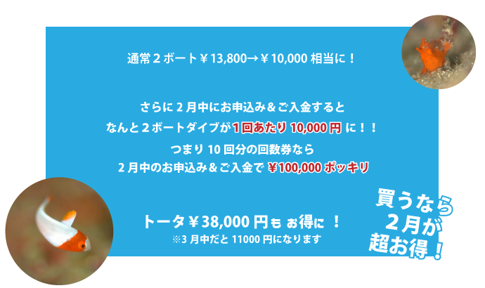 さらに、２月中にお申込み＆ご入金頂いた方には通常２ボート￥13,800→￥10,000相当に！つまり10回分の回数券なら2月中のお申込み＆ご入金で￥100,000ポッキリ（トータル￥38,000もお得に！！）