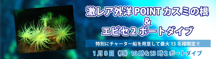 激レア外洋POINT　カスミの根＆エビセ　2ボートダイブ