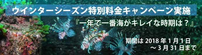 ウインターシーズン特別料金キャンペーン実施