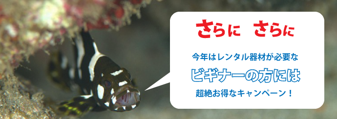 さらにさらに、今年はレンタル器材が必要なビギナーの方には超絶お得なキャンペーン！