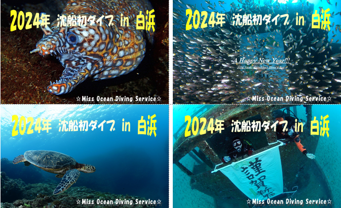 2024年　潜り始めDIVEパスポート