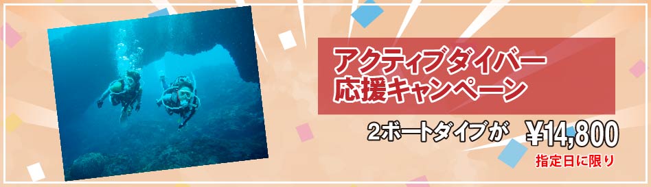 アクティバダイバー応援キャンペーン