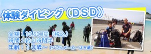 体験ダイビング（DSD）