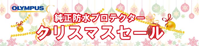 純正プロテクター・クリスマスセール