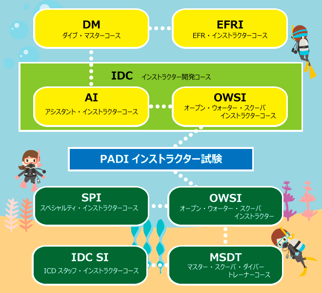 プロコースのご紹介