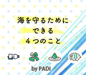 海を守るためにできる４つのこと by PADI