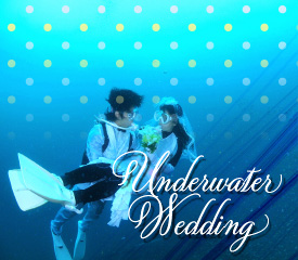 一生の想い出水中結婚式（UnderWater wedding）