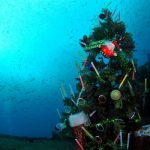 沈船とクリスマスツリー