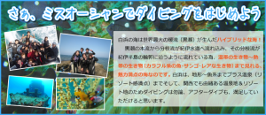 白浜の海は世界最大の暖流(黒潮)が生んだハイブリッドな海! 黒潮の本流から分枝流が紀伊水道へ流れ込み、その分枝流が紀伊半島の輪郭に沿うように流れている為、温帯の生き物~熱帯の生き物(カラフル系の魚・サンゴ・レアな生き物)まで見れる、魅力満点の海なのです。 白浜は、地形~魚系までプラス温泉(リゾート感満点)までそして、関西でも由緒ある温泉地&リゾート地のためダイビングは勿論、アフターダイブも、満足していただけると思います。